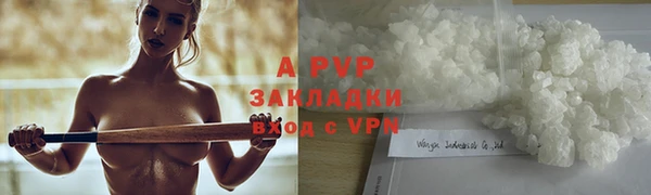 a pvp Белокуриха